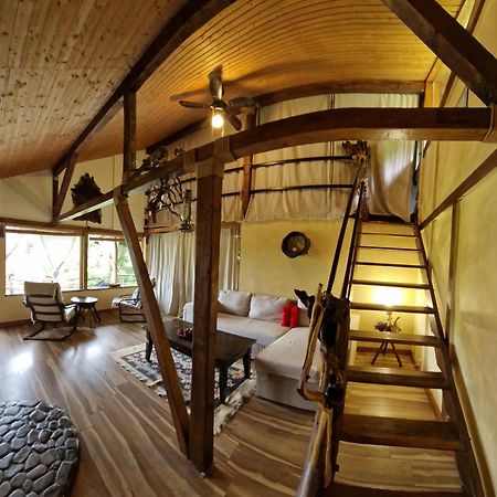 Mystically Wood House In The Forest Carjari Экстерьер фото