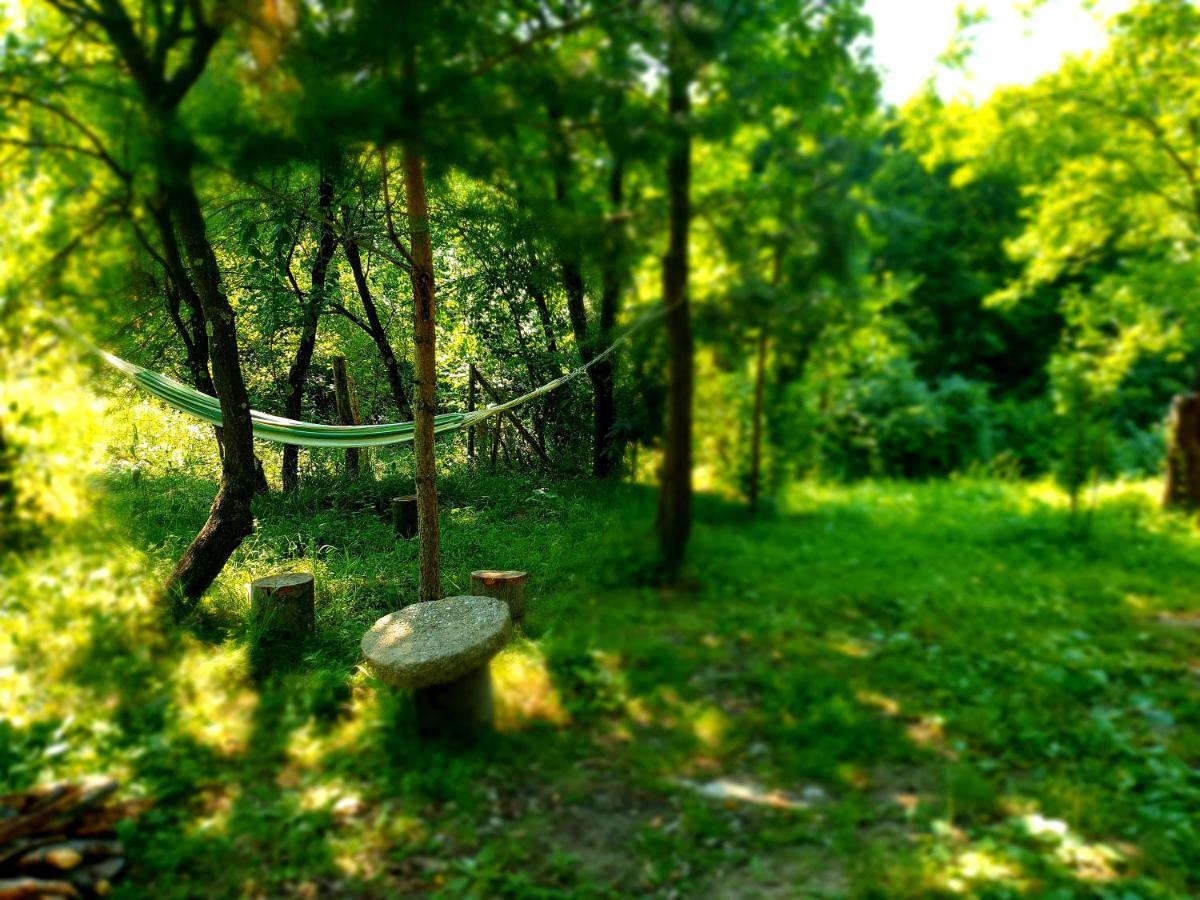 Mystically Wood House In The Forest Carjari Экстерьер фото